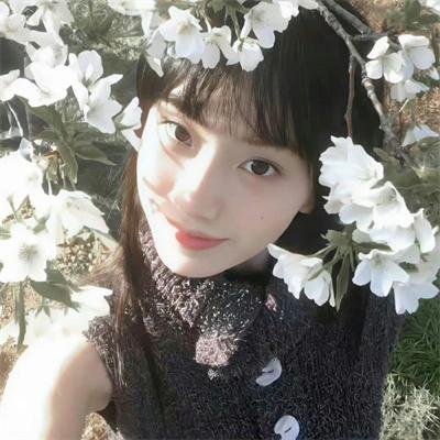 满目皆琳琅